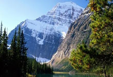 B体育体育平台-包含体育界的最新动向再次引发热烈关注！的词条